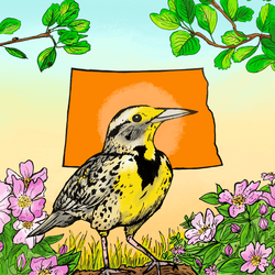 SHRUBBERY BIRDS